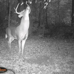 Meet your Posher, Mike